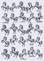 Collection of Vintage Horse Engravings