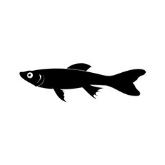 endler s livebearer fish icon, endler s livebearer fish line art - simple line art of endler s livebearer fish, perfect for endler s livebearer fish logos and icons