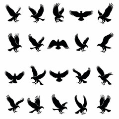 twenty-four eagle flight silhouettes: a diverse collection of avian