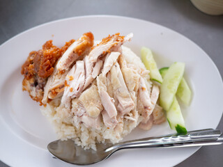 Hainanese Chicken Rice, Steamed chicken rice, Kao-Mun-Kai Thai street food.