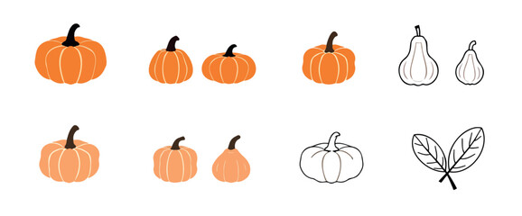 collection of pumpkins and gourds in hues