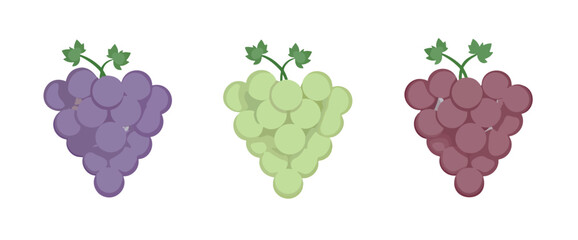 three bunches of grapes in purple green and red colors