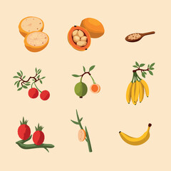 collection of vibrant tropical fruits including papaya banana and citrus illustrated in a clean and modern style