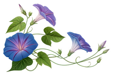 A morning glory flower icon with a trumpet-shaped bloom and vine
