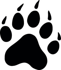 striking black bear paw print © Rysak