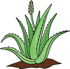 Vector Illustration of Aloe Vera Plant - Perfect for Botanical and Home Decor Designs