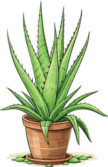 Vector Illustration of Aloe Vera Plant - Perfect for Botanical and Home Decor Designs
