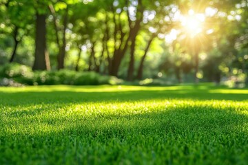 Naklejka premium Abstract Environment. Beautiful Greenery Evergreen Nature Park with Sunlight Blurry Background