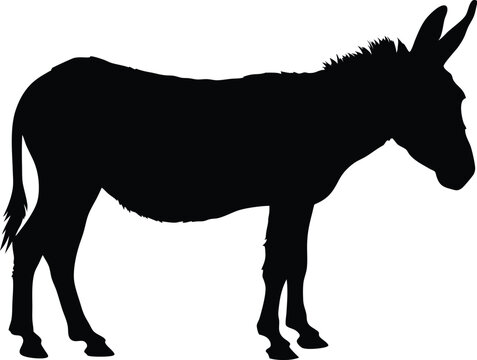 recommend clip art: donkey black silhouette vector, donkey icon clip art