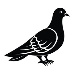 Pigeon black and white silhouette illustration vector design.  