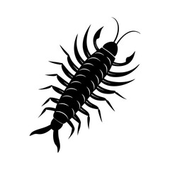 Centipede vector silhouette illustration 