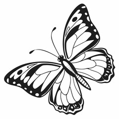 silhouette of a butterfly