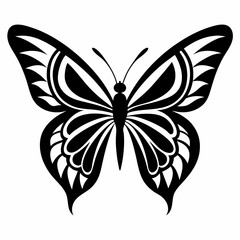 silhouette of a butterfly