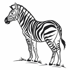 Obraz premium zebra silhouette