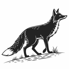 silhouette of a sleek fox