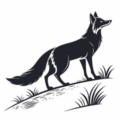 Fototapeta premium silhouette of a sleek fox