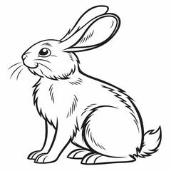 vector of a rabbit