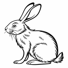 vector of a rabbit
