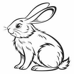Obraz premium vector of a rabbit
