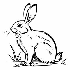 vector of a rabbit