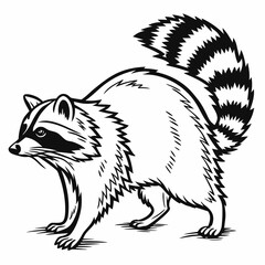 Obraz premium vector of a raccoon