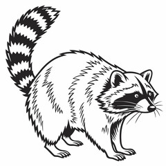 Obraz premium vector of a raccoon