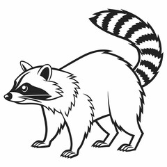 vector of a raccoon
