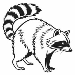 vector of a raccoon