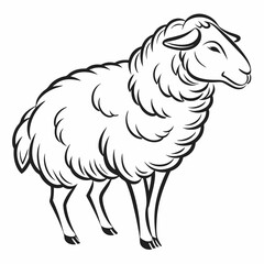 vector of a sheep