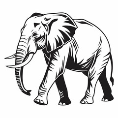 elephant vector silhouette