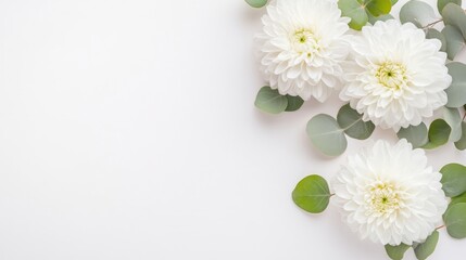 Obraz premium White Dahlias Eucalyptus Greenery Minimalist Style High-resolution Soft Lighting Corner Composition Floral Arrangement Peaceful Serenity Wedding Invitations Soft White Tones