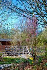 spring landscape with wooden bridge at sunshine in the garden Tulln near the river Danube, Austria