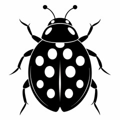Ladybug vector silhouette black design white background