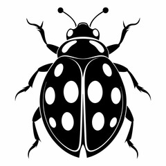 Ladybug vector silhouette black design white background
