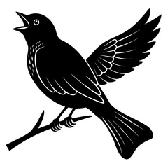 bird on a branch 
