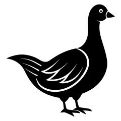 silhouette of a bird