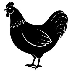 A  hen and rooster of  silhouette 