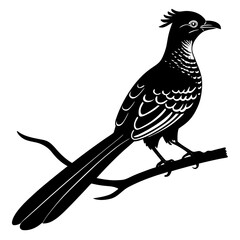 Bird on a branch