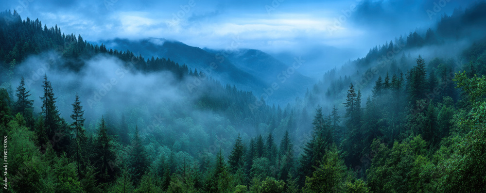Poster serene forest landscape with mist enveloping mountains, creating tranquil atmosphere. lush greenery 