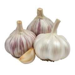 Obraz premium Society garlic png wild garlic png decorative garlic png garden society garlic png culinary garlic png modern society garlic png transparent background image