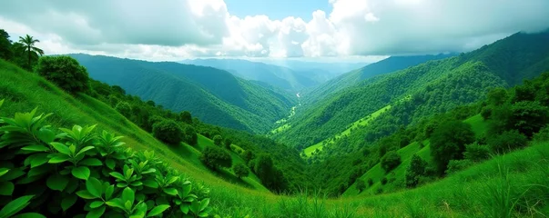 Selbstklebende Fototapeten Lush forests and rolling hills create vibrant green landscapes in Honduras,  landscapes,  environment © wanlapa