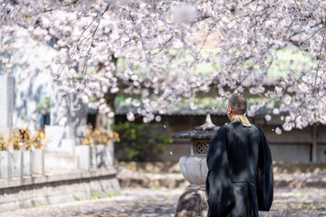 僧侶と樹木葬のイメージ