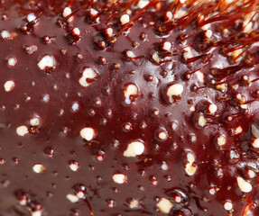 A close up of a brown and white creature with many small dots