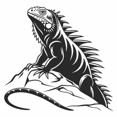 Marine Iguana  vector silhouette black design white background