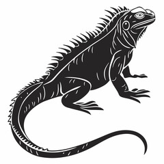 Marine Iguana  vector silhouette black design white background
