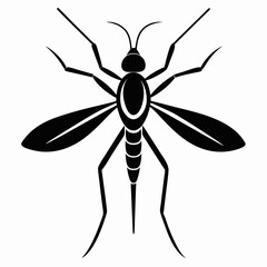 Mosquito vector silhouette black design white background
