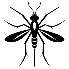 Mosquito vector silhouette black design white background