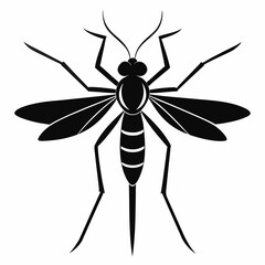 Mosquito vector silhouette black design white background
