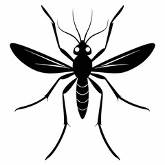 Mosquito vector silhouette black design white background