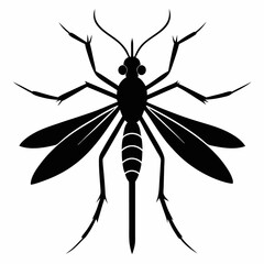 Mosquito vector silhouette black design white background